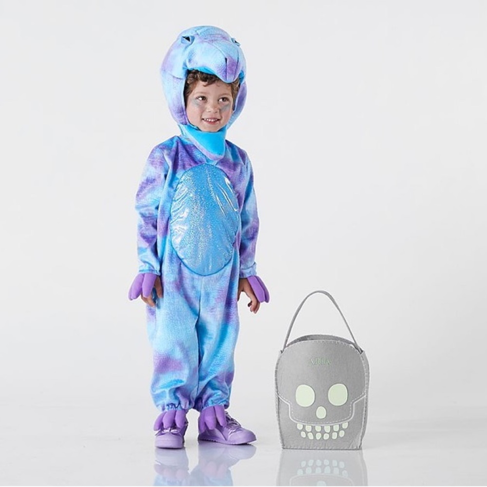 Pottery barn 3t light up dinosaur costume with matching bag.